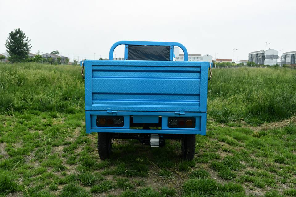 Cargo-BBB Rear View