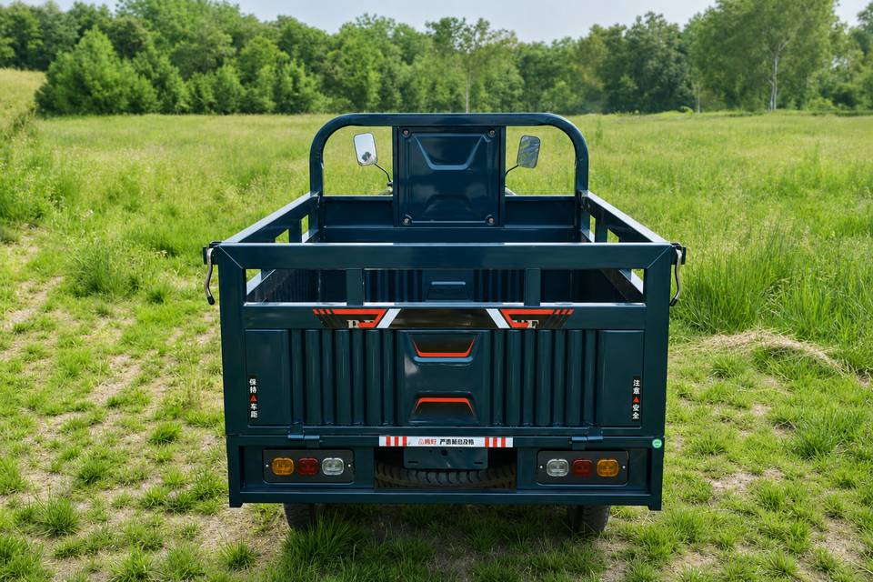Cargo-DGO-2 Rear View