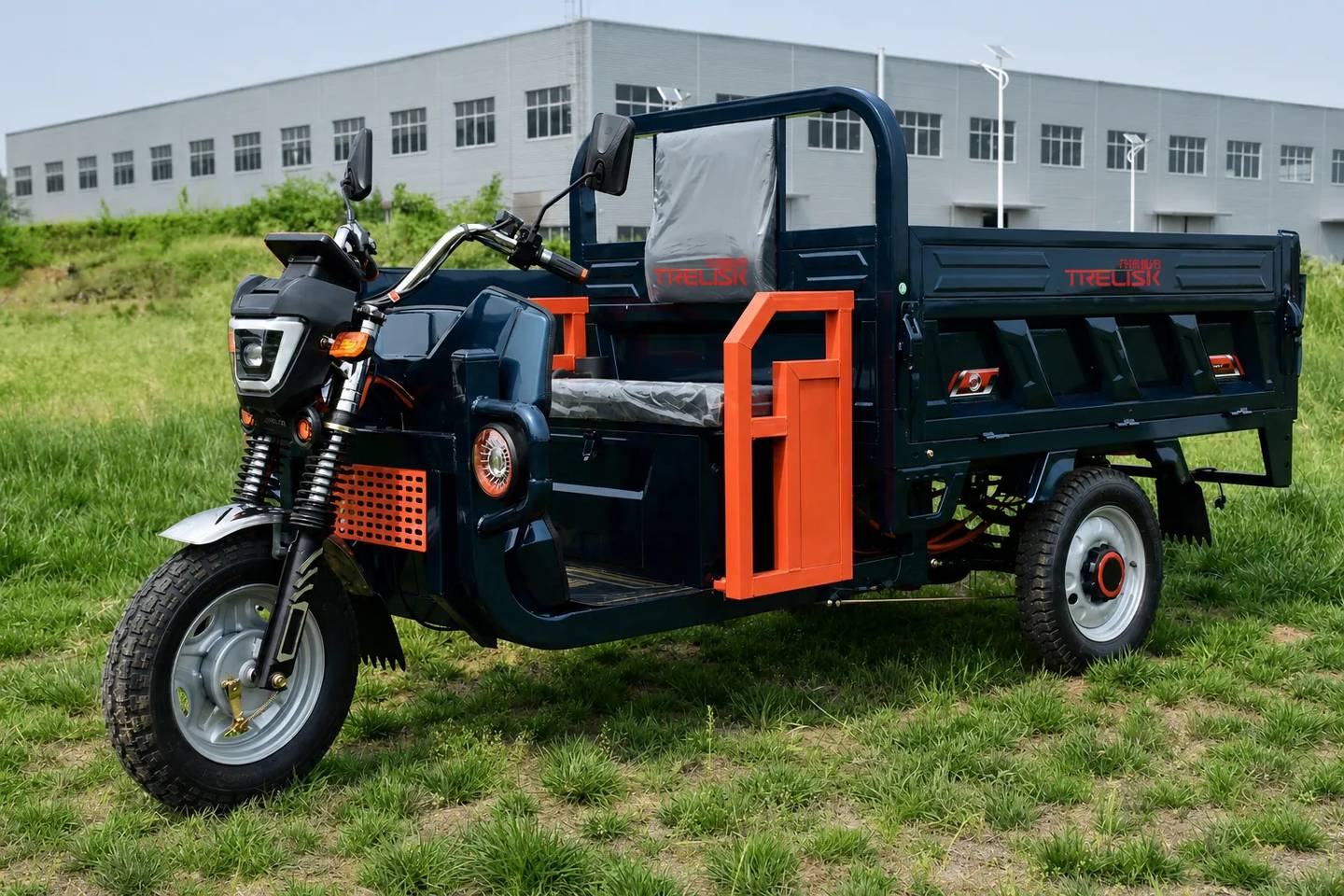 Electric Cargo Tricycle for Export