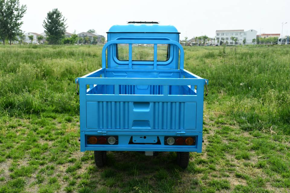 Pickup-BBO-3 Rear View