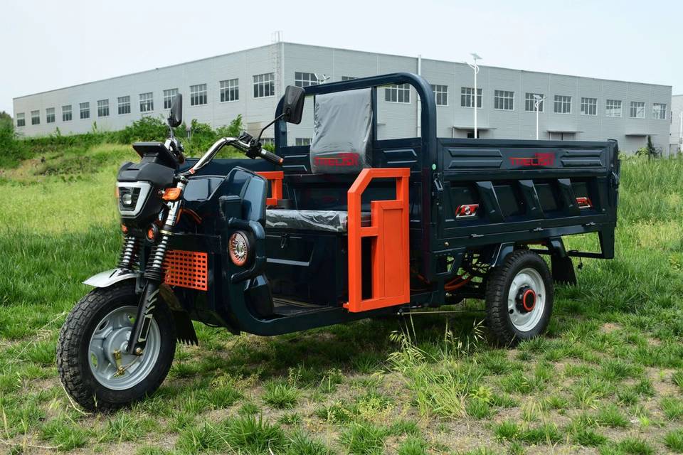 Cargo-DGO Electric Tricycle Overview - Professional Commercial Vehicle from China