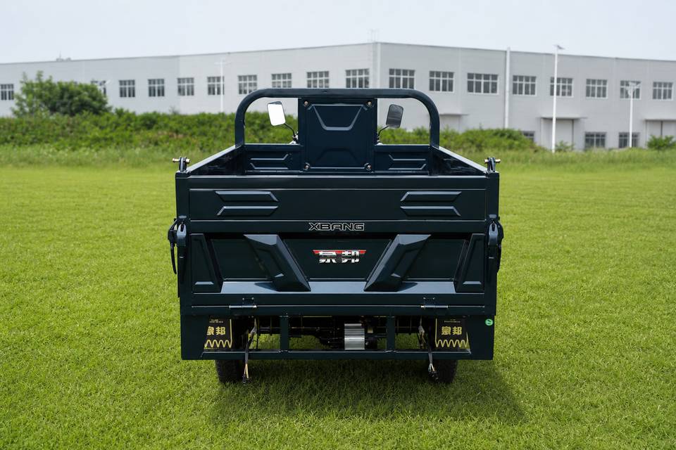 Cargo-DGO Electric Tricycle Rear View - Heavy Duty Transport Equipment
