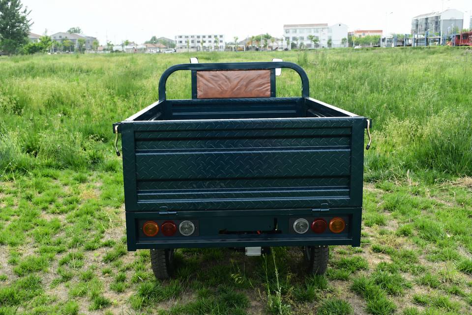 Cargo-DGO-3 Rear View