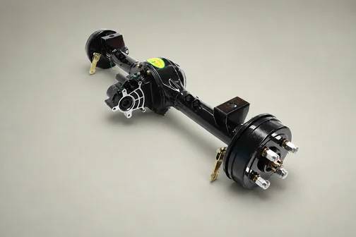Integrated Rear Axle Assembly